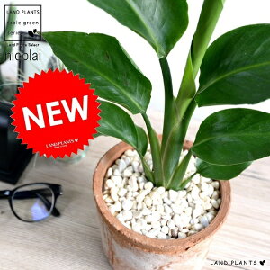 Xg`AijRCj X|bg V_[^ iFjeRb^ I[KX^ Xg`A V̔ A c c ϗtA  uE IW  Eh  픫 f 