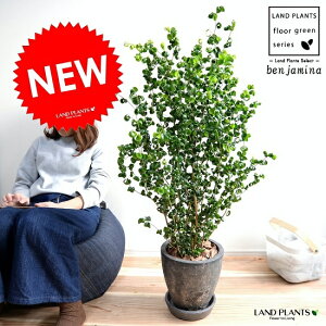 xW~iobNj F GbO^ Eh 픫 8 A  c c ^ ϗtA  ubN D Eh  