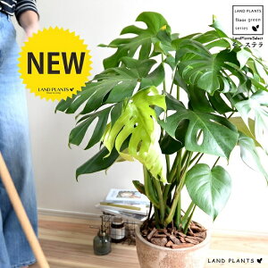 Xe F GbO^ Eh 픫 io[N`bvj A   eRb^ f  F uE  ϗtA ϗt ^ 