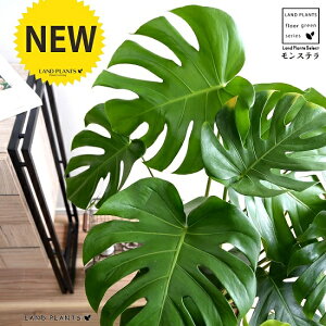 Xe F ZA[g 8io[N`bvj A   eRb^ f  ubN Eh  ϗtA ϗt ^ 