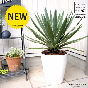 AKxiMFnNZREj F ZA[g 8io[N`bvj A   zCg ^ ϗtA  AG E[c JtHjA 㗖 AKy AKF A