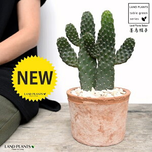 T{einGXqFX~G{Vj 2F  F X|bg V_[^ 픫iVRӐ΁j JN^X oUCT{e  A 2{ A  f eRb^  uE 