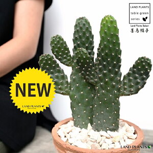 T{eiX~G{V:nGXqj 2F  F X|bg V_[^ 픫iVRӐ΁j JN^X oUCT{e  A 2{ A  f eRb^  uE I