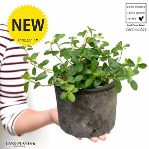 tBJXEVOi鐫KW}jF X|bg V_[^ 픫iVRӐ΁j KW} enCkr  c A  f eRb^  ubN D O[ 