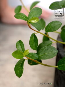 tBJXEVOi鐫KW}j F X|bg V_[^ 픫iVRӐ΁j KW} enCkr  c A  f eRb^  uE IW 