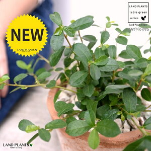 tBJXEVOi鐫KW}j F X|bg V_[^ 픫iVRӐ΁j KW} enCkr  c A  f eRb^  uE IW 