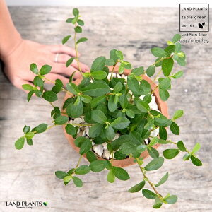 tBJXEVOi鐫KW}j F X|bg V_[^ 픫iVRӐ΁j KW} enCkr  c A  f eRb^  uE IW 