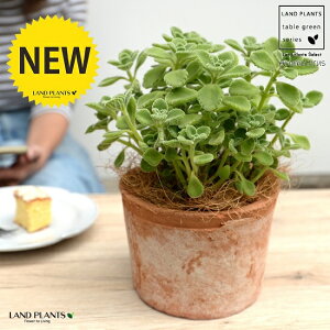 A}eBJX F X|bg V_[^ 픫yRRt@Co[Eĕz vNgTX LoIKm n[u n[ueB[ X[v~g Hp  A c c eRb