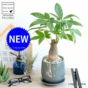 pLi^Cvj u[F ̂ 픫yVRӐ΁EMEĕz pL ANAeBJ  ̖ 𐶂ݏo A  c c ϗtA ϗt  F 