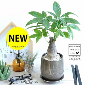 pLi^Cvj x[WF ̂ 픫yVRӐ΁EMEĕz pL ANAeBJ  ̖ 𐶂ݏo A  c c ϗtA ϗt DF 