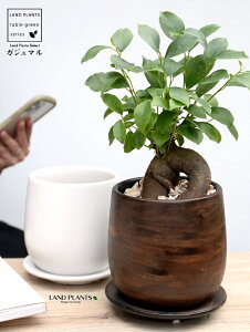 y2FzKW}i^Cvj EbhF or F 픫 STCY yVRӐ΁EMEĕz K炷 K̎  ܂̖ A  ۔ Eh uE EH[