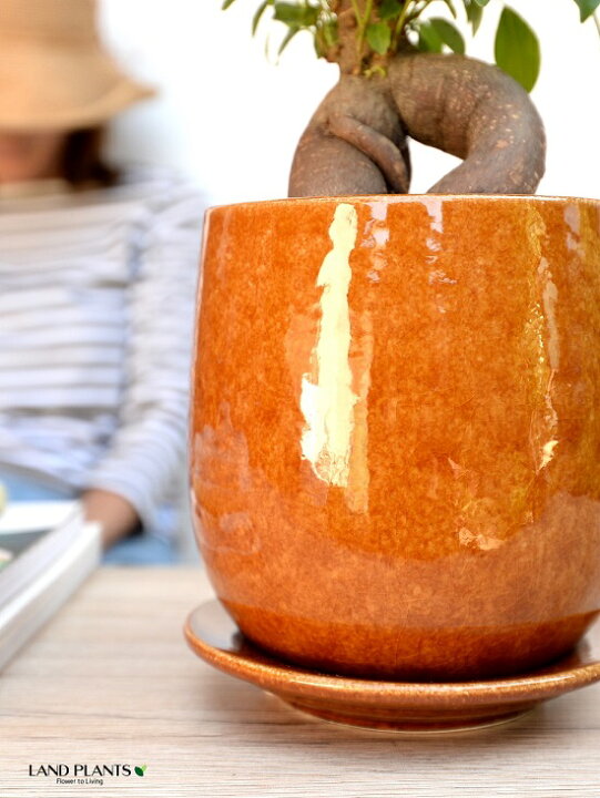 楽天市場 植木鉢 オレンジ 落ち着きのある ラウンド型 陶器鉢 植木鉢 受皿 鉢底石 鉢底ネット付属 鉢の販売 鉢植え 陶器 陶器鉢 鉢 苗 苗木 植木鉢 オレンジ 丸 丸型 丸形 オーバル バルーン 観葉植物 植物の付属なし Land Plants 楽天市場店