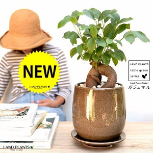 KW}i^Cvj x[W ̂ Eh^ 픫 yF΁EMEĕzA   c c K炷 K̎  ܂̖ F F O[