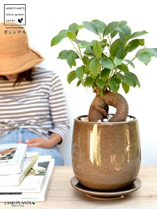 ijKW} x[W ̂ Eh^ 픫 yF΁EMEĕzA   c c K炷 K̎  ܂̖ F F O[ DF 