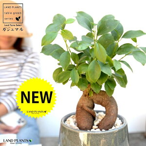 KW}ij u[ ̂ Eh^ 픫 yF΁EMEĕzA   c c K炷 K̎  ܂̖  F F O[ DF 