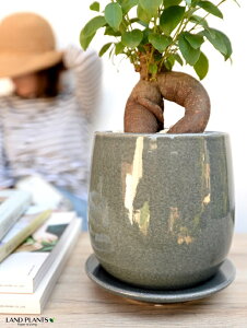 yAؔz u[ ̂ Eh^ 픫 yAؔEME΁Elbgtz y̔̔zA  픫  c c Aؔ u[ O[u[ ی^ ی` I[