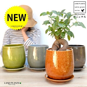 y4Fz KW}ij ̂ Eh^ 픫 yFIׂziF΁EMEĕjK炷 K̎  ܂̖ A  c c  ϗtA O