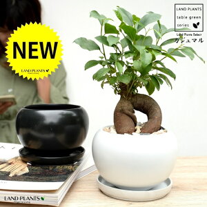 y2Fz KW}i^Cvj F or F  픫 yVRӐ΁EMEĕz K̎ 삪h A  c c  ubN  zCg  Eh ϗtA  