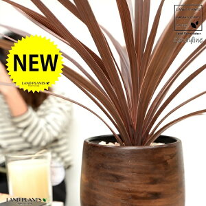 RfBl ibhX^[j Ebh yCg 픫 STCY yVRӐ΁EMEĕzCfBrTEԃhZiERWlEJ[[tEp[v^[ c c A  