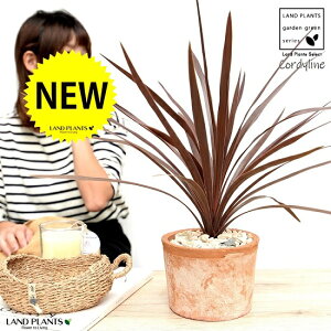 RfBlibhX^[j F X|bg V_[ 픫 yVRӐ΁EĕzA  c c  eRb^ ی`  uE IW F   RP ϗtA oRj