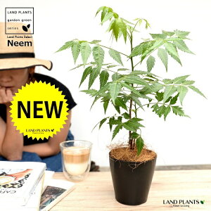 yz ~Nj[i̖؁j F 4 vX`bNyRRt@Co[z Ղ̖ j[ A j[IC xh ChZ_ AUWN` AAUWN^