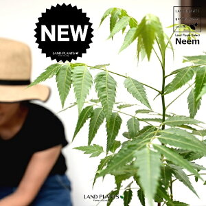 yz ~Nj[i̖؁j F 4 vX`bNyRRt@Co[z Ղ̖ j[ A j[IC xh ChZ_ AUWN` AAUWN^