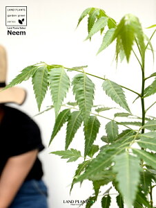 yz ~Nj[i̖؁j F 4 vX`bNyRRt@Co[z Ղ̖ j[ A j[IC xh ChZ_ AUWN` AAUWN^