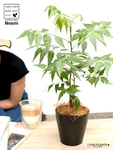 yz ~Nj[i̖؁j F 4 vX`bNyRRt@Co[z Ղ̖ j[ A j[IC xh ChZ_ AUWN` AAUWN^