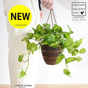 yFEfUC܂z|gXiO[oO[j 5 nMO|bg yRRt@Co[z A  c c  ݔ ݂蔫 nMO ϗtA ϗt