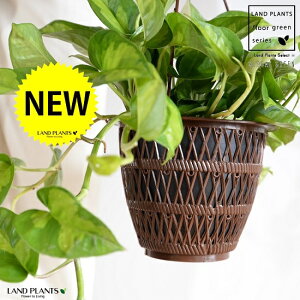 yFEfUC܂z|gXiO[oO[j 5 nMO|bg yRRt@Co[z A  c c  ݔ ݂蔫 nMO ϗtA ϗt