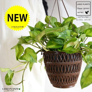 yFEfUC܂z|gXiO[oO[j 5 nMO|bg yRRt@Co[z A  c c  ݔ ݂蔫 nMO ϗtA ϗt