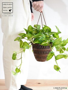 yFEfUC܂z|gXiO[oO[j 5 nMO|bg yRRt@Co[z A  c c  ݔ ݂蔫 nMO ϗtA ϗt