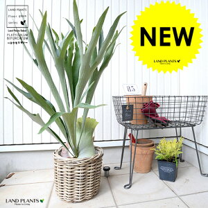 REij D胉^ oXPbg V_[^ yoXPbgEĕz ^ A  c c ^  U  JS  oXPbg ϗtA ϗt V_ V_A  