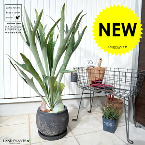 REij ۂĂ eRb^ F yĕz ^ A  c c f fĔ  픫 ϗtA ϗt V_ V_A  V_ rJNV_  ubN D