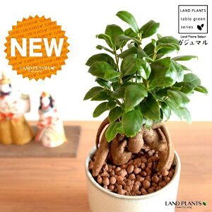 ܂ij a_ ֖dグ c[g 픫 STCYi×j ynChEMEĕz K̎ 삪h KW}  A Aؔ  ĕ ֖ c c F 