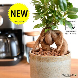 ܂ij a_ ֖dグ c[g 픫 STCY iD×j ynChEMEĕz K̎ 삪h KW}  A Aؔ  ĕ ֖ c c O