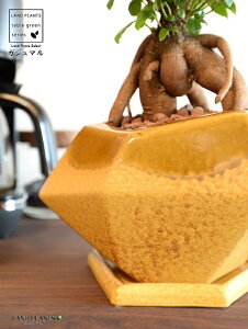 KW}ij ZF |S^ p` 픫 ynChEMEĕz K̎ 삪h KW}  A Aؔ  c c  CG[ yF ٌ` ό` ֖ 