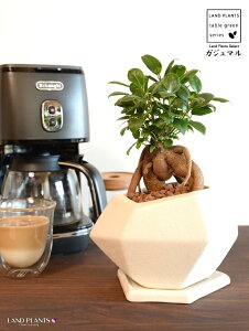 KW}ij F |S^ p` 픫 ynChEMEĕz K̎ 삪h KW}  A Aؔ  c c  zCg  ٌ` ό` ֖ ĕ 