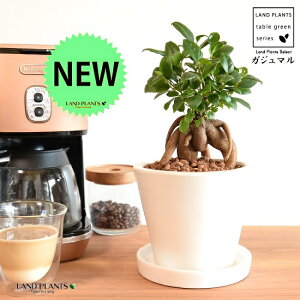 ܂ij^ Eh^ 픫 STCY ynChEMEĕz K̎ 삪h KW}  A Aؔ  ĕ c c ی^  RjbN RjbN^ f 