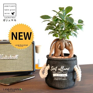 yiz ܂ij}[vt z Jo[ lCr[ yZ~XEĕz K̎ 삪h KW}  Jo[ Ci[rj[   Z   u[ n