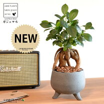 楽天市場】植木鉢 スピーカーの通販