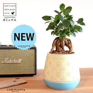 ܂ijڂĂ M̌^ h yCgvg 픫 XJCu[ ynChEMEĕz K̎ 삪h KW}  A Aؔ  ĕ c c