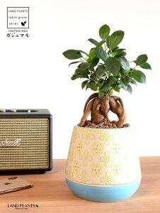 ܂ijڂĂ M̌^ h yCgvg 픫 XJCu[ ynChEMEĕz K̎ 삪h KW}  A Aؔ  ĕ c c