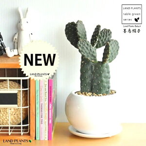 T{einGXqFX~G{Vj 2F } F ی^ 픫 yF΁EMEĕzE`T{e cT{e oUCT{e A  JN^X  A  ֖ c 