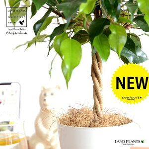 yz xW~igsA[dāj 4 vX`bN F yt@Co[zLOn LOn[ gsA[ X^_[hd {[ S S̖ tBJX x