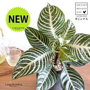 AtFhiXNATE_jAj F X|bg V_[^ 픫 yVRӐ΁zLE{N Lclm}S AtFhXNAT XNAT_jA AtFh_jA