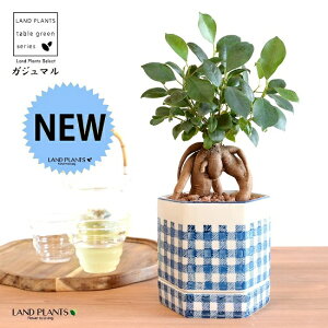 ܂ijZp` M̌^ h yCgvg 픫 `FbN ynChEMEĕz K̎ 삪h KW}  A Aؔ  ĕ c c 