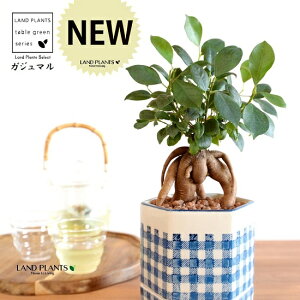 ܂ijZp` M̌^ h yCgvg 픫 `FbN ynChEMEĕz K̎ 삪h KW}  A Aؔ  ĕ c c 