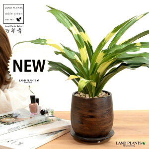 NFIgiDj Ebh yCg 픫 yVRӐ΁EĕEMz _Ig Lc ji N ^ ^Abv N  XY g  Ԓdj 