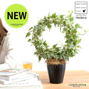 yz ACr[iOdj 4 F vX`bN yRRt@Co[Eĕz ubN wf Ld^ ؒӑ   Aؔ v vX`bN